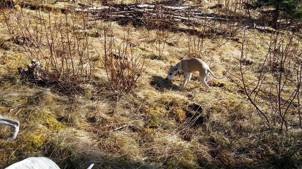 10395181_10153137166375953_5374589344830756027_n