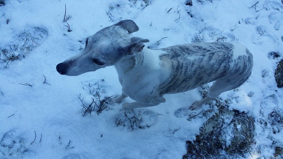 10401521_10153137159925953_3075754618802834815_n