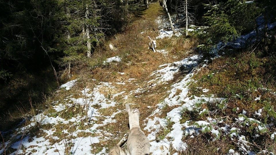 10476154_10153137164855953_8032844195557140246_n