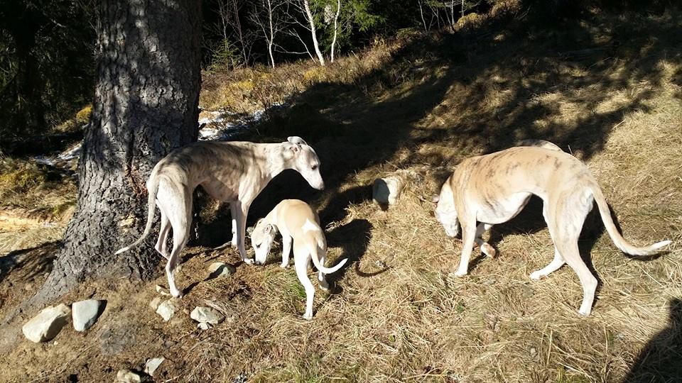 10923315_10153137165975953_8714624752848920424_n