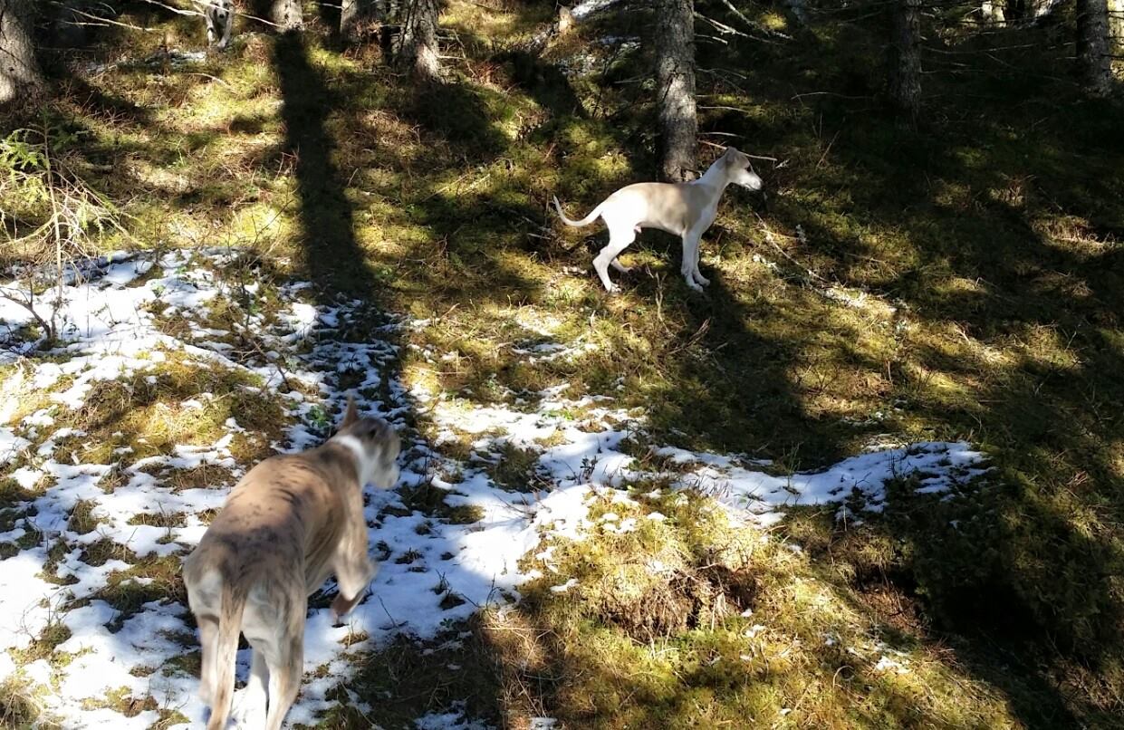 10956369_10153137158610953_8638265769210947531_o