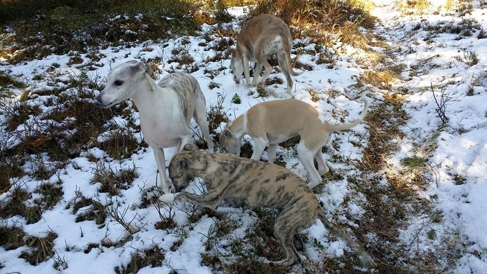 11073558_10153137165500953_2162816608196712937_n