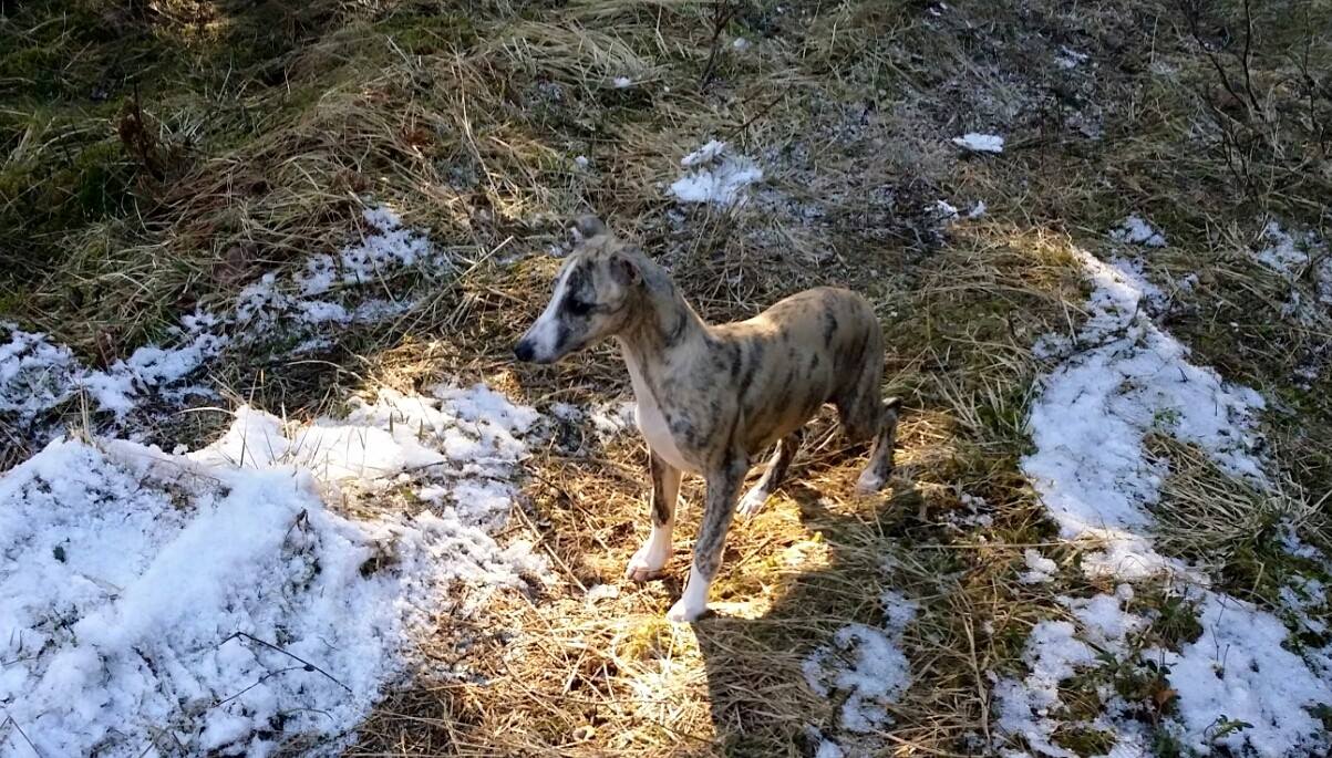 11078182_10153137158315953_4877747917315242950_o