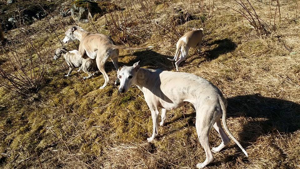 11079597_10153137166925953_1675221475195393856_n