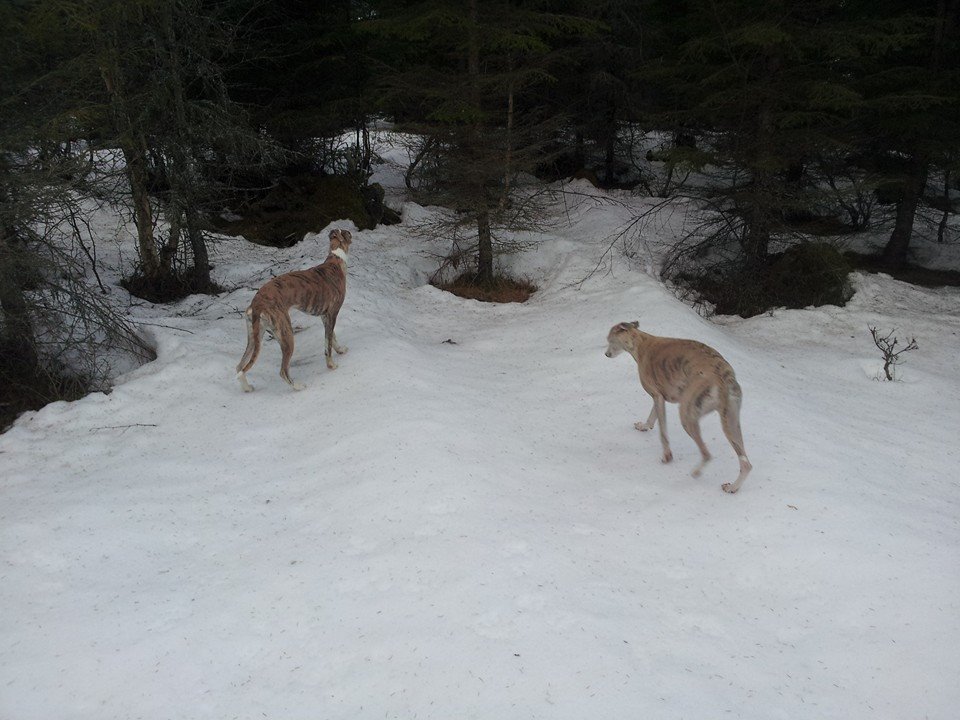 1522086_10152148088260953_1485698887_n