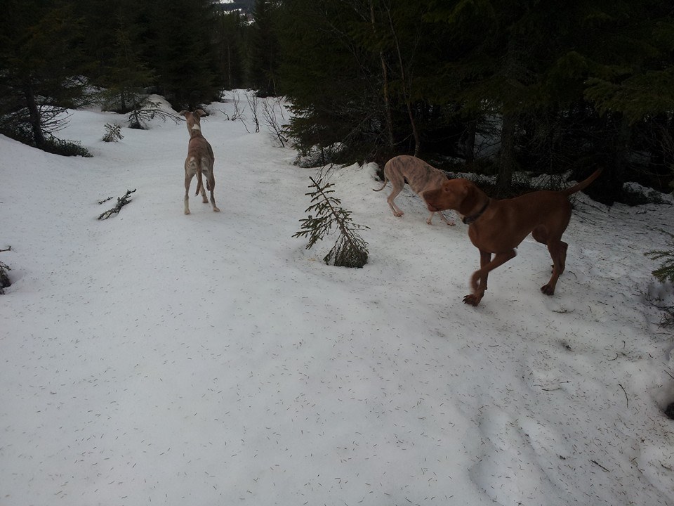 1526800_10152148087355953_1893819451_n