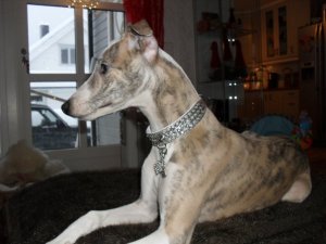 17352_263854325271_3240724_n