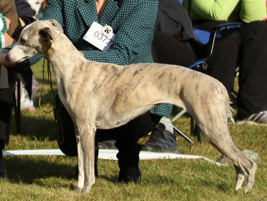 Skjermbilde 2017-09-25 kl. 20.47.45