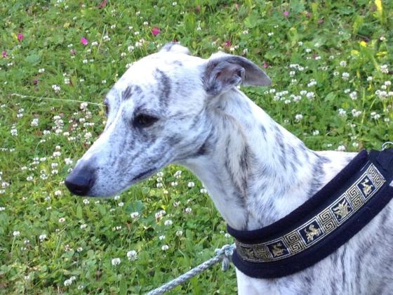 10455316_10152111795077251_8089767956227420260_n