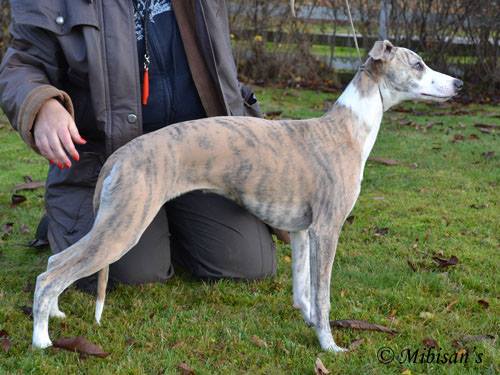 482420_228561970639121_1161512088_n