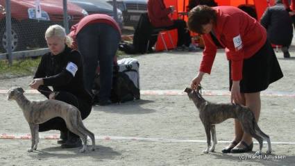 10172607_10152380642166291_2761391358509520290_n