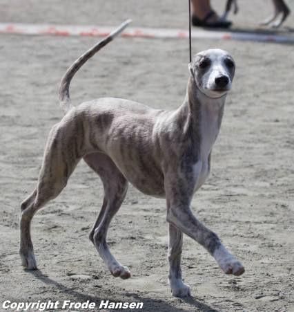 10256667_10151974219046735_5232411261021799086_o