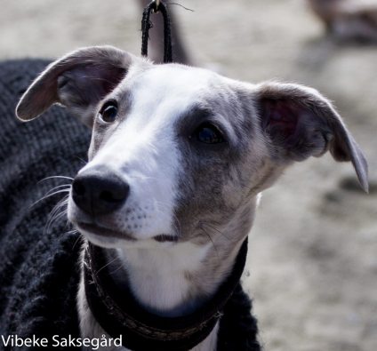 10256983_10151974214496735_357665620062637691_o