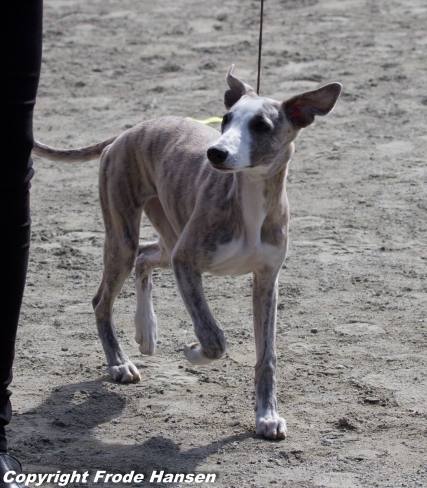 10298591_10151974215226735_1660602234956988080_o