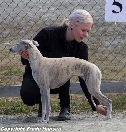 737353_10151974232876735_3160577589878559899_o