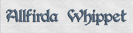 83. Per Gothic 20-50