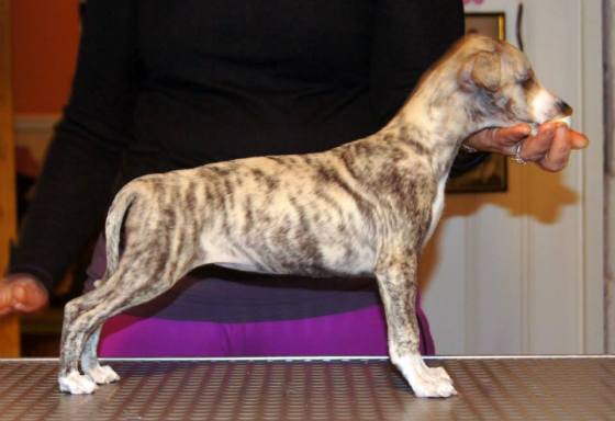 10959867_1045159008832617_8277984984604778652_n