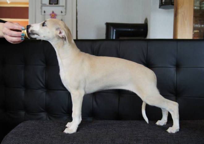 10417472_1060116000670251_4697964736146787309_n