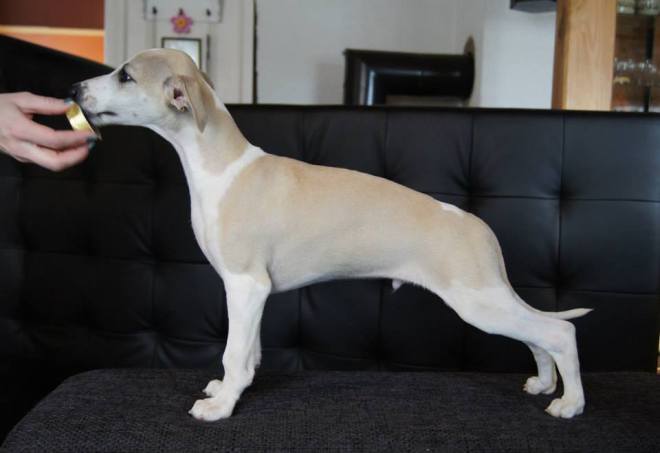 11044580_1060115804003604_3634936066554357120_n