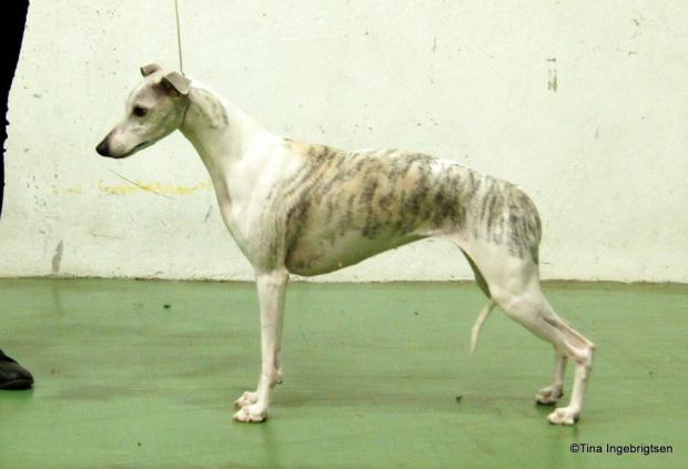 11053517_10153116164585953_2067074087933794604_n