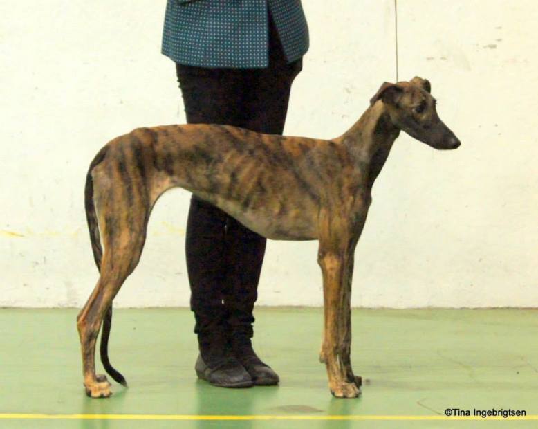 1965036_10153116157240953_6331275132139841192_n