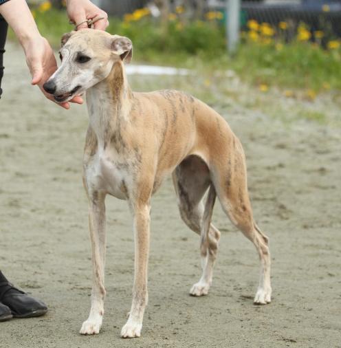 10258841_10153279457021291_7866621424612287039_o