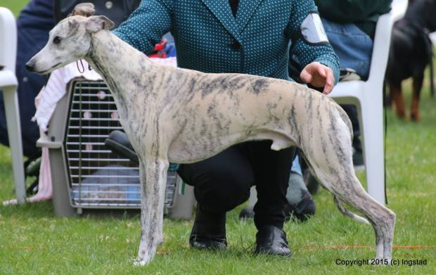 11148569_10153263846809321_3463698399137572583_o