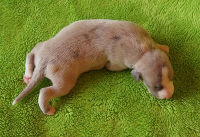 11196282_1106223659392818_1279464398079193318_n