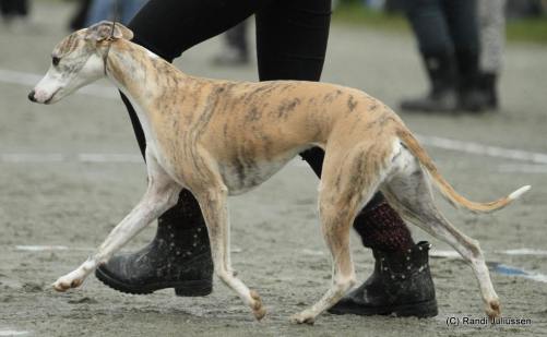 11270347_10153281420716291_3465096713283637134_o