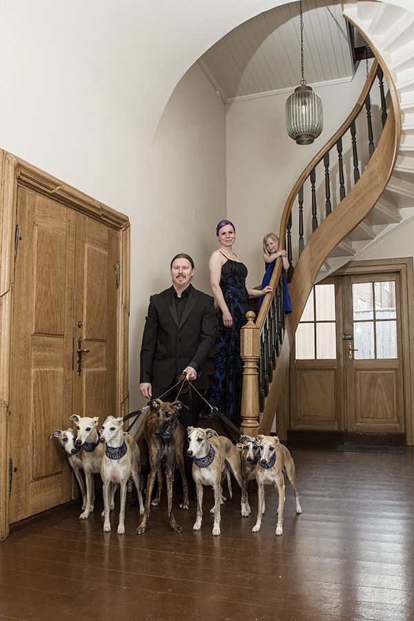 Gramgården whippet_1