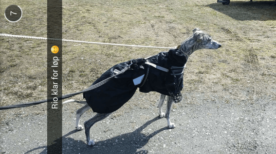 Screenshot_2015-05-03-07-11-20