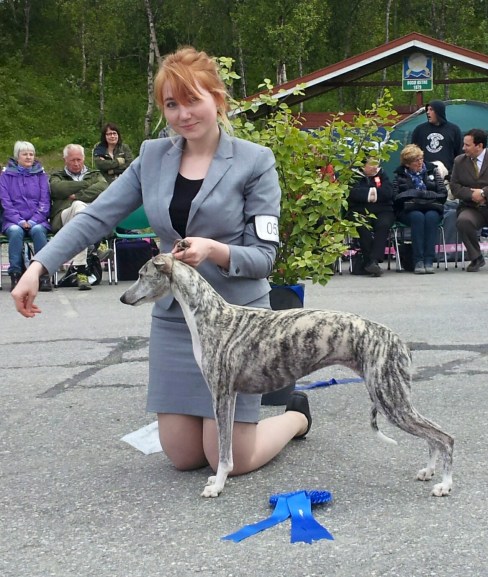 10866197_10154058281815476_2541681365541098371_o