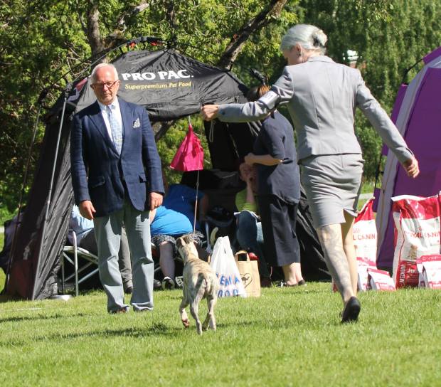 11411689_10152879386782751_5664573059835070297_o