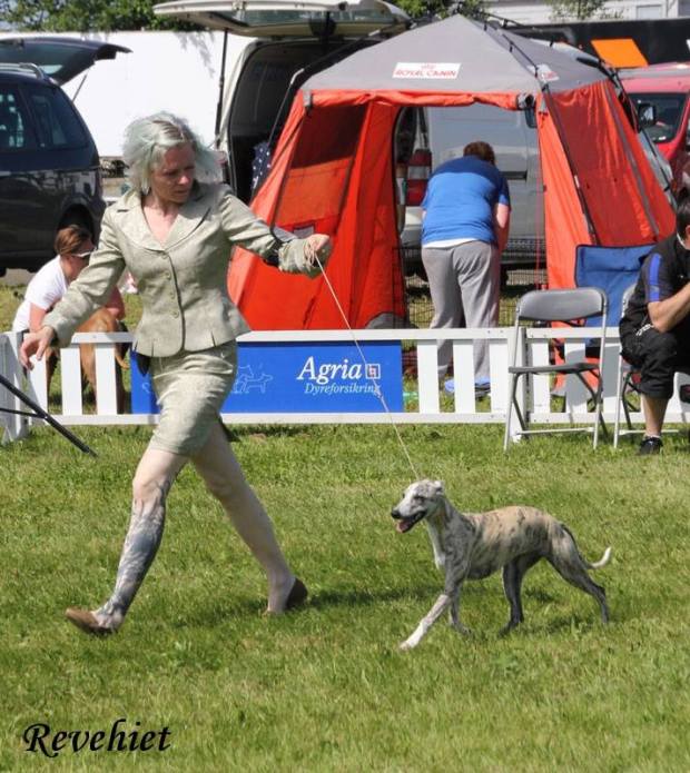 11696896_10152952393286596_330699241_n