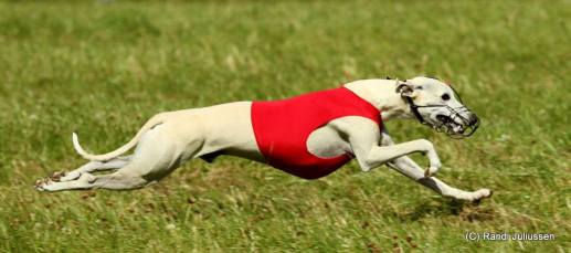 11875181_804724349646912_1776493514197635886_o