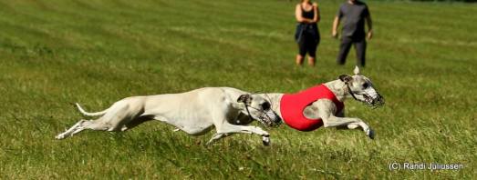 11879068_804725342980146_6683114308661657451_o