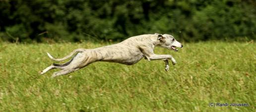 11892296_804724406313573_2999641031859939043_o