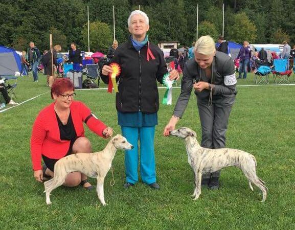 11947573_1170852842929899_3321715546113638639_n