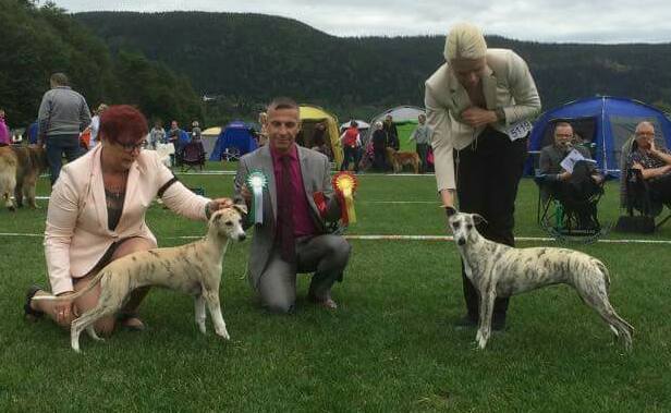 11953236_1171449076203609_8421123859548603961_n