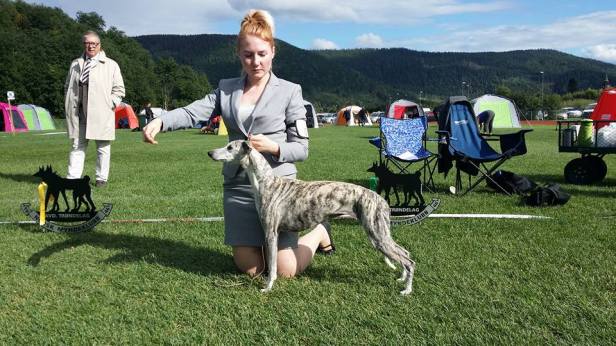 11986380_1171449116203605_4565591722015103671_n