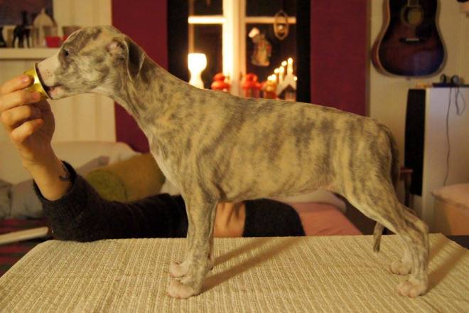 10296404_1229382793743570_9016953352083374997_o (1)