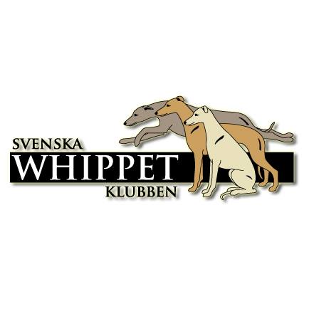 10003348_849694348390046_2032611434_n