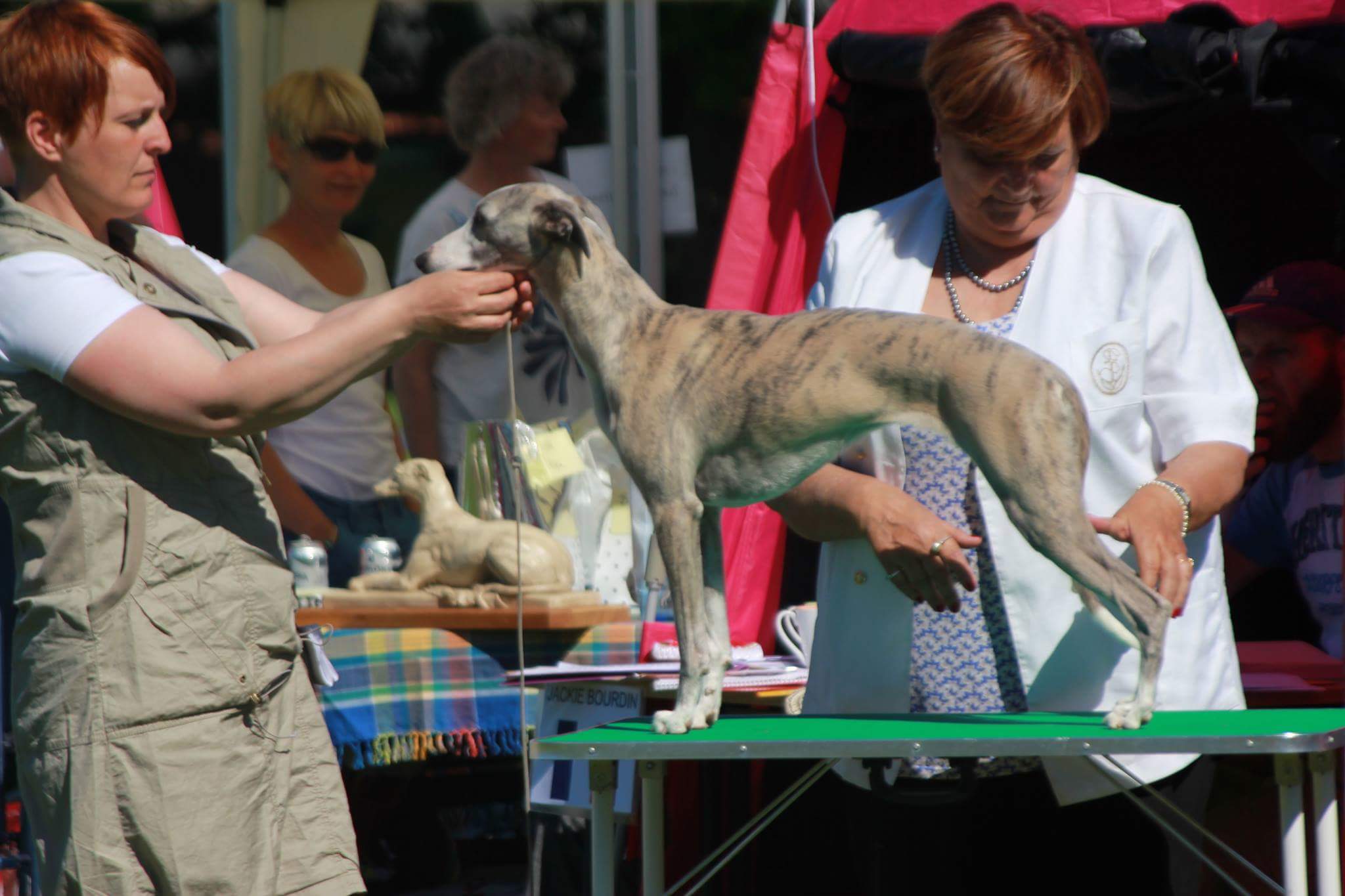 received_10157010291730296