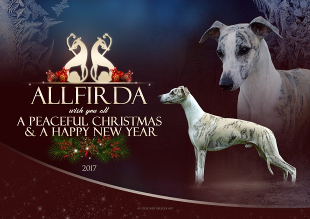 allfirda-christmasad-1