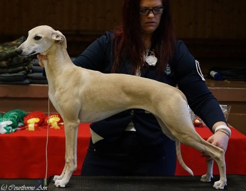 16216216_10154679566596072_1342979757_n