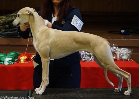 16237895_10154679566606072_1506732992_n