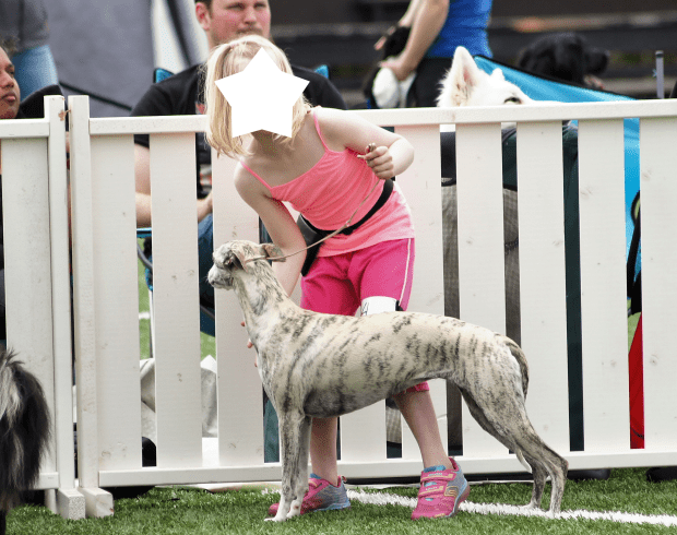 Ilja og Zelda_kopi 8