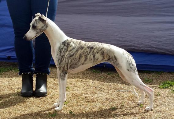 19495678_10155261304850953_785385515_o