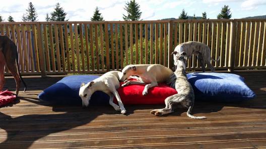 21192105_10155480423580953_4301490021144704086_n