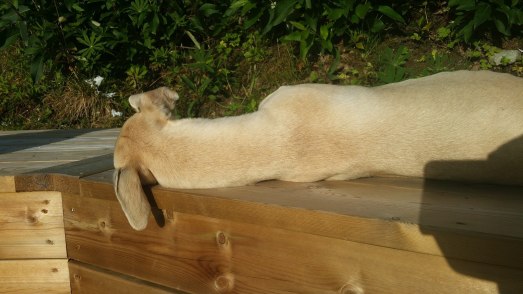 21272970_1855241974490979_9004894624244965144_o